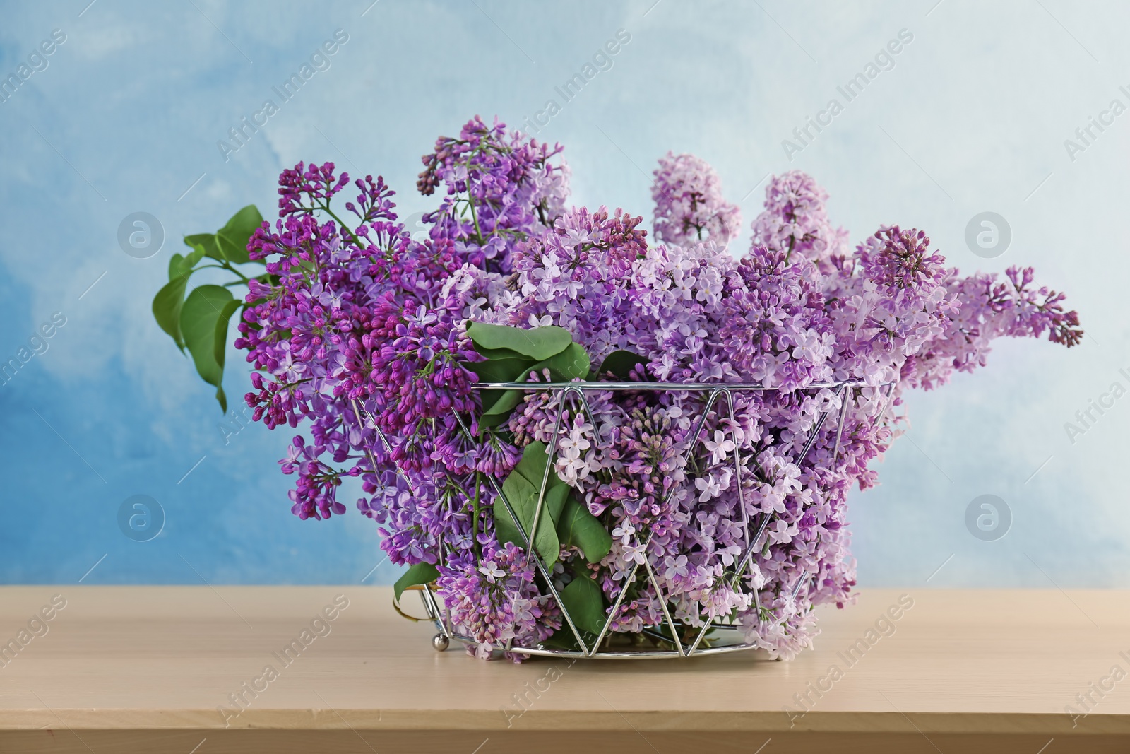 Photo of Beautiful blossoming lilac in basket on table against color background. Spring flowers