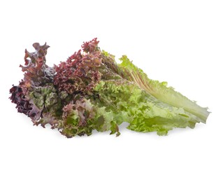 Photo of Leaves of fresh red coral lettuce isolated on white