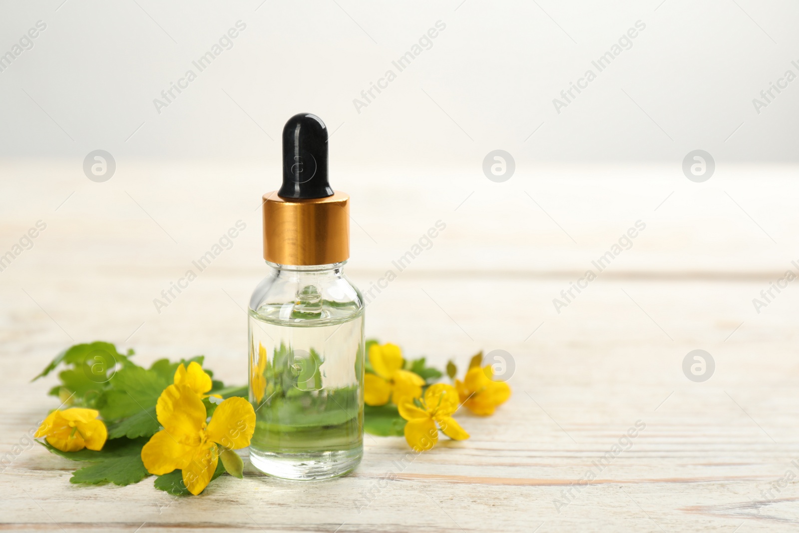 Photo of Bottle of natural celandine oil near flowers on white wooden table, space for text