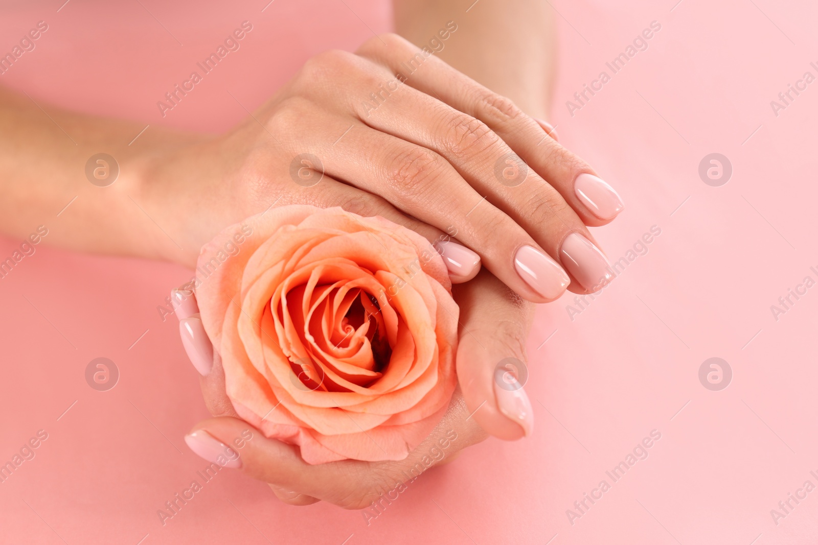 Photo of Closeup view of woman with rose on color background. Spa treatment