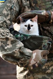 Ukrainian soldier rescuing animal. Little stray cat sitting in helmet outdoors, closeup