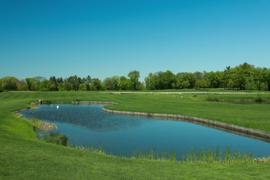 Picturesque view of beautiful park with fresh green grass and pond