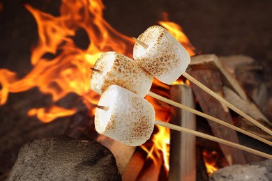 Image of Delicious puffy marshmallows roasting over bonfire  