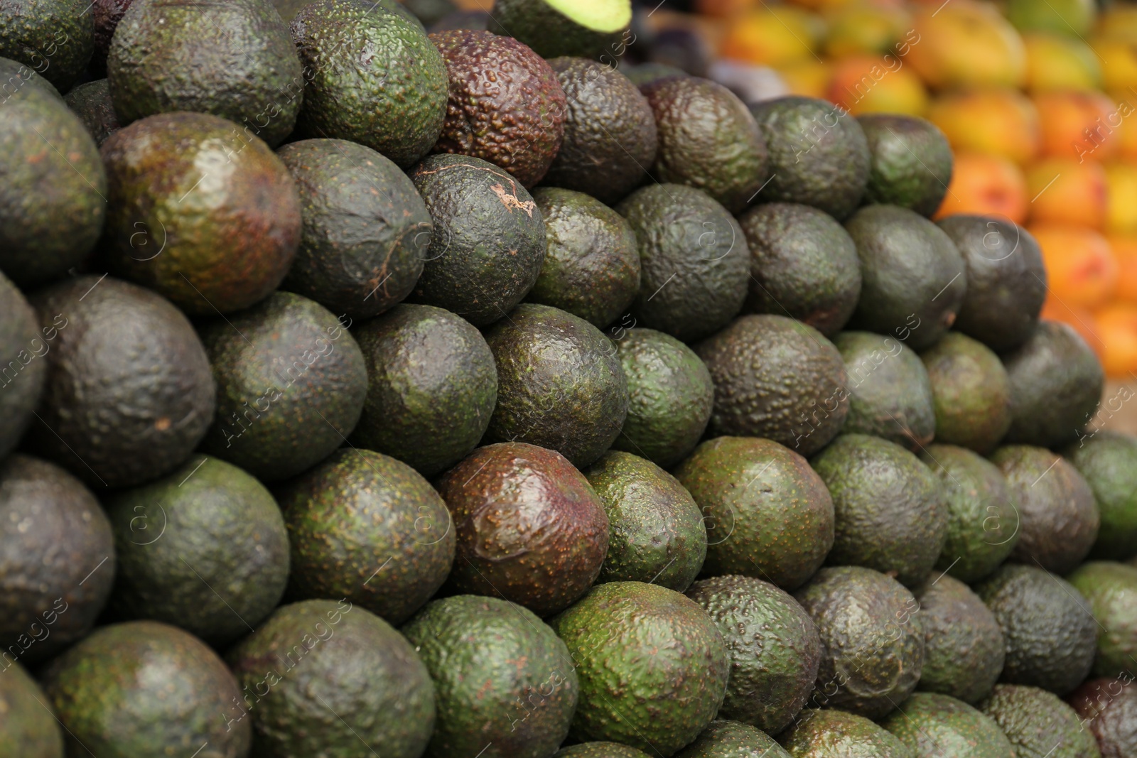 Photo of Pile of delicious fresh ripe avocados at market