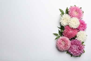 Beautiful asters and space for text on white background, top view. Autumn flowers