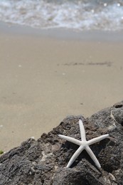 Beautiful starfish on black stone near sea, space for text