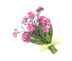 Photo of Bouquet of beautiful pink Forget-me-not flowers on white background, top view