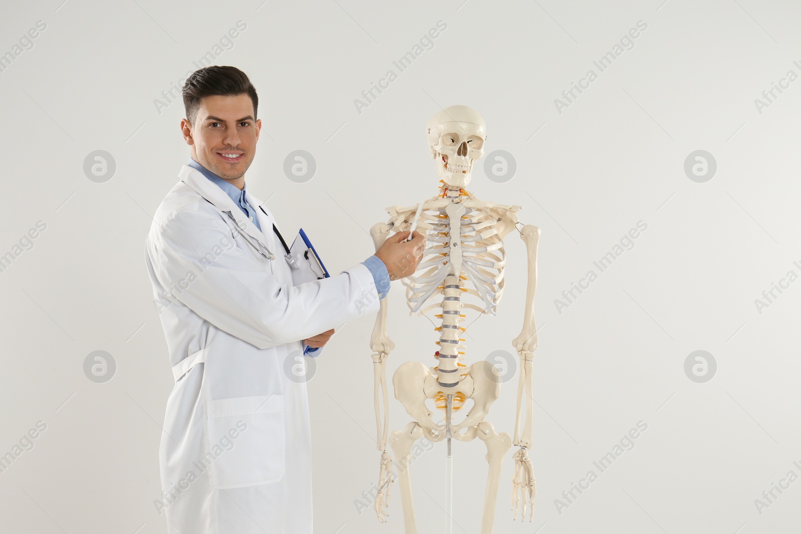 Photo of Male orthopedist with human skeleton model against light background