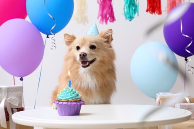 Photo of Cute dog wearing party hat at table with delicious birthday cupcake in decorated room