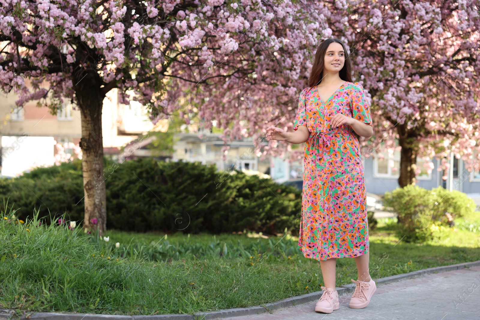 Photo of Beautiful woman and blossoming trees on spring day