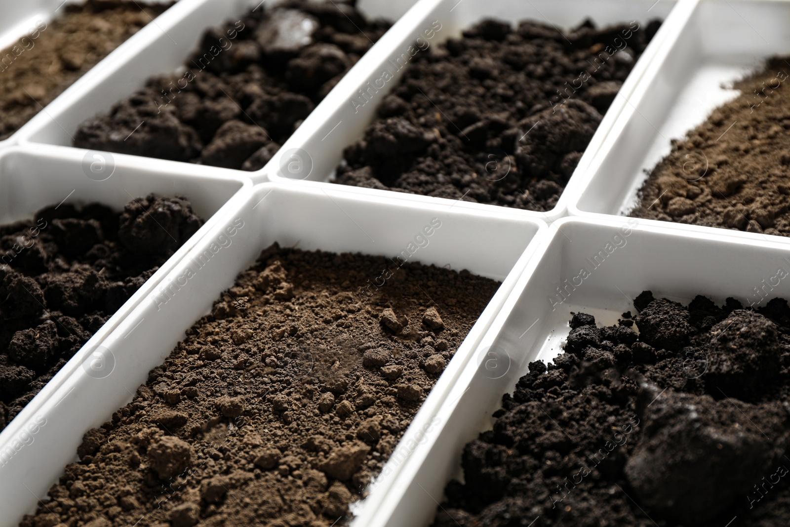 Photo of Containers with soil samples, closeup. Laboratory research