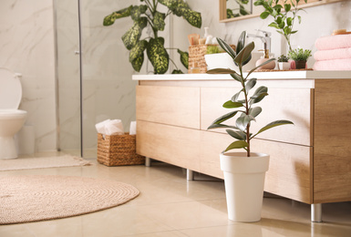 Photo of Beautiful green plants in elegant modern bathroom. Interior design