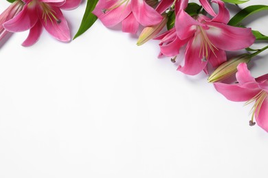 Photo of Beautiful pink lily flowers on white background, flat lay. Space for text