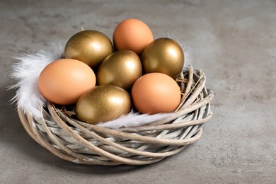 Photo of Different eggs and feathers in nest on grey table