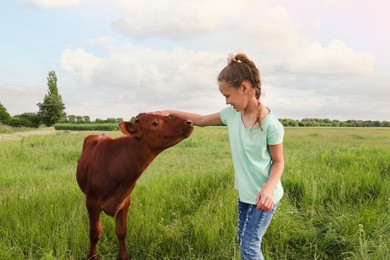 Photo of Cute little girl with calf in green field