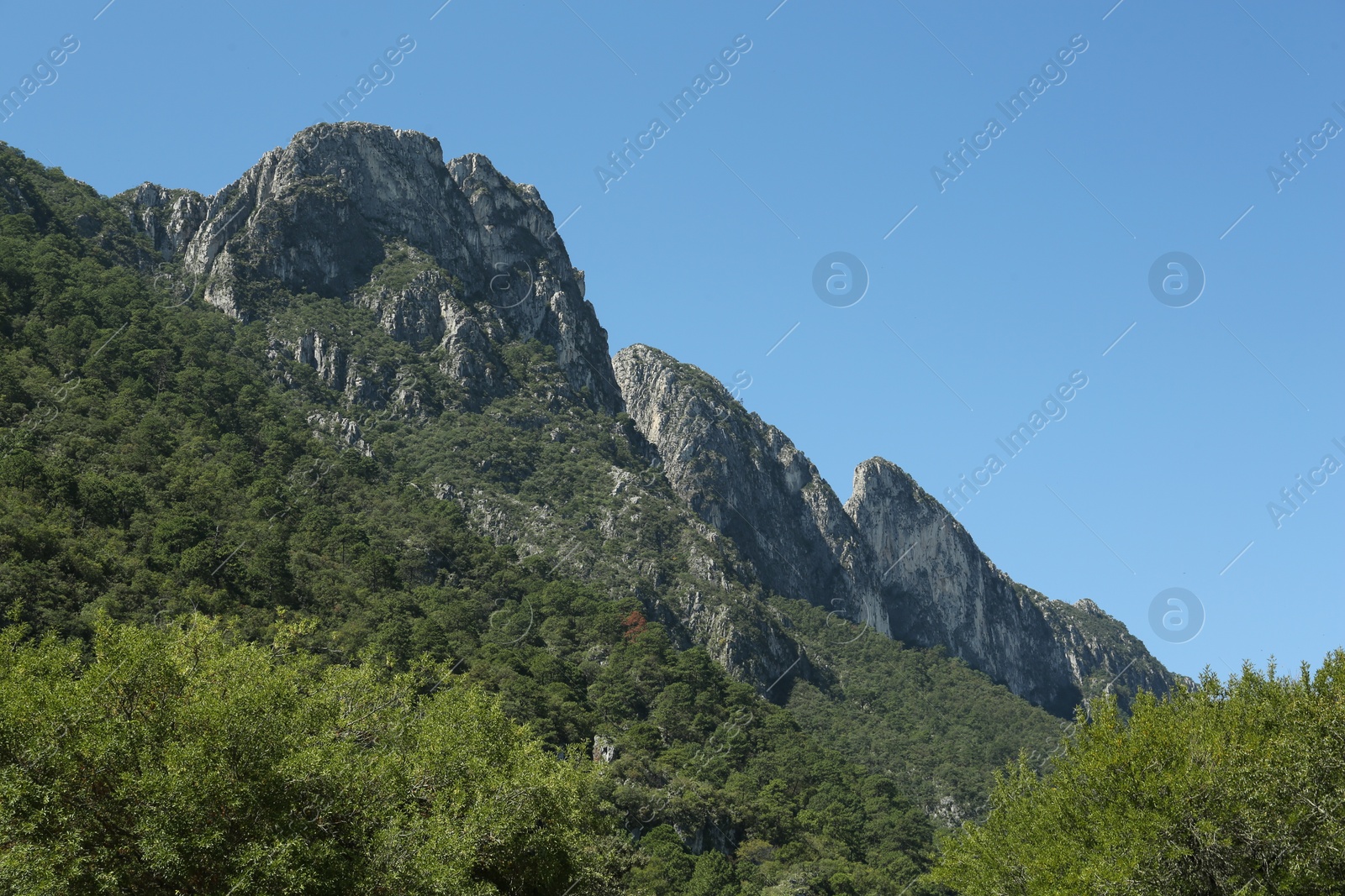 Photo of Picturesque view of high mountains and trees