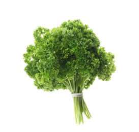 Photo of Bunch of fresh curly parsley on white background