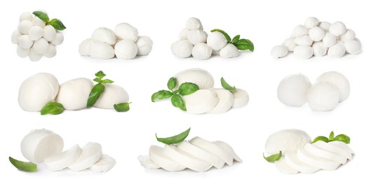 Set with tasty mozzarella on white background. Banner design 