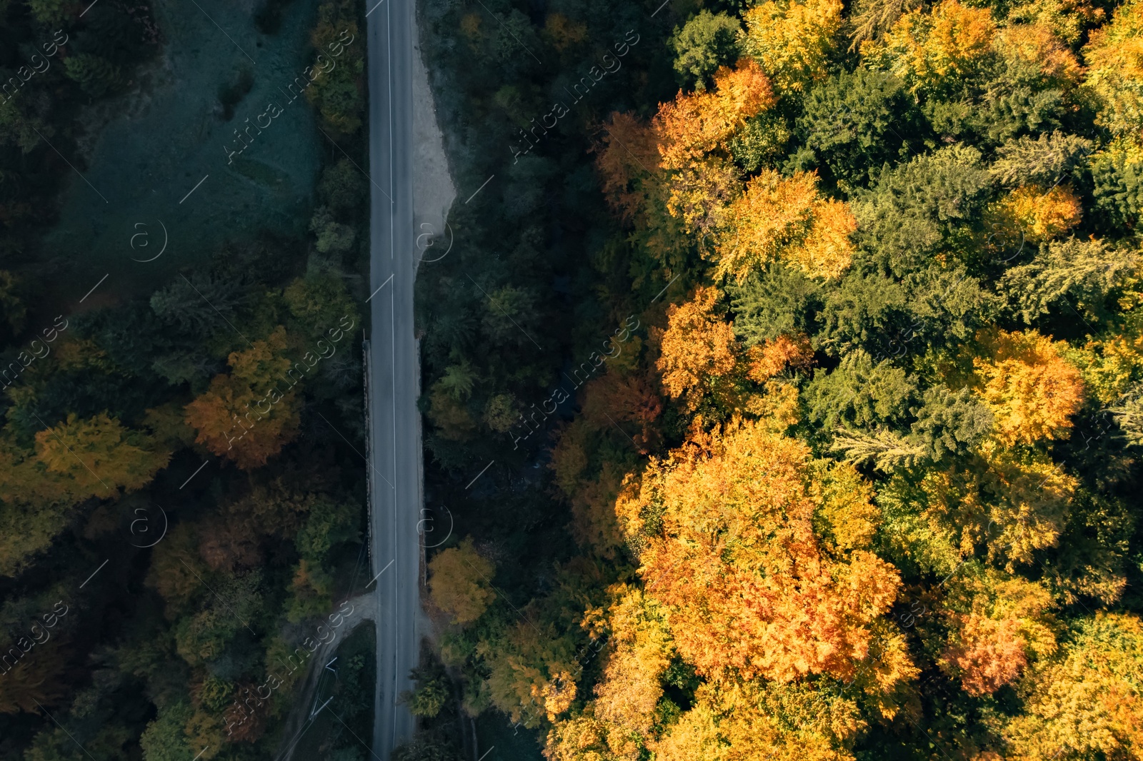 Image of Aerial view of road going through beautiful autumn forest