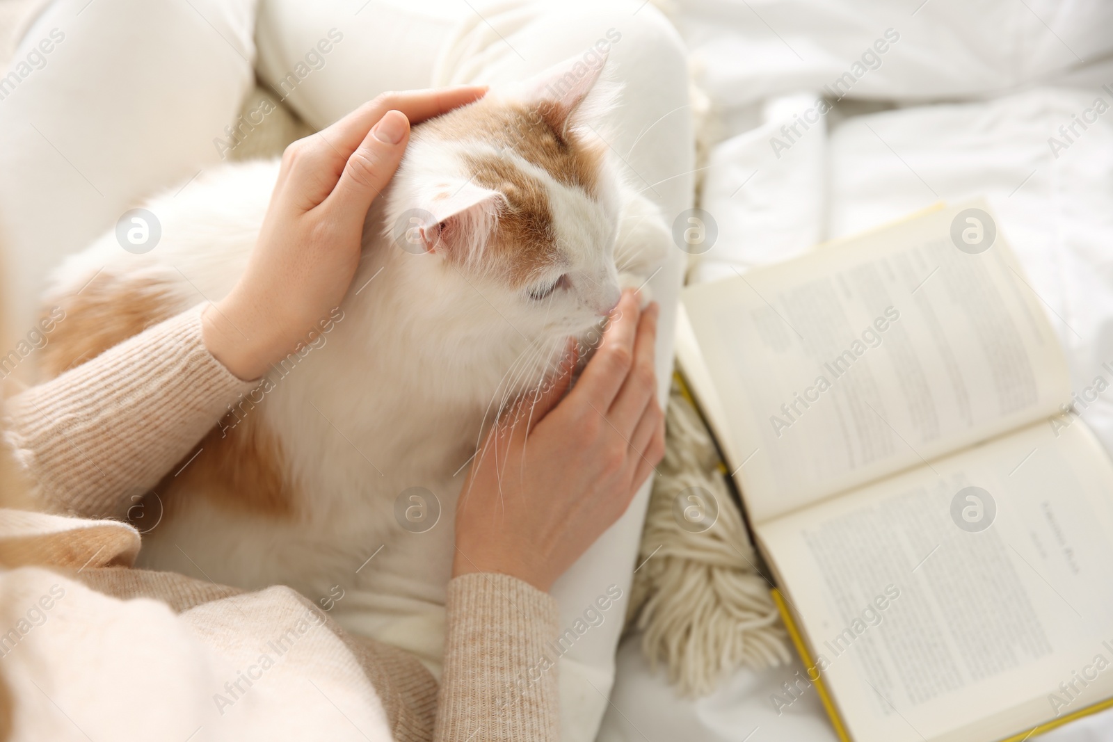 Photo of Woman with cute fluffy cat and book on bed, top view