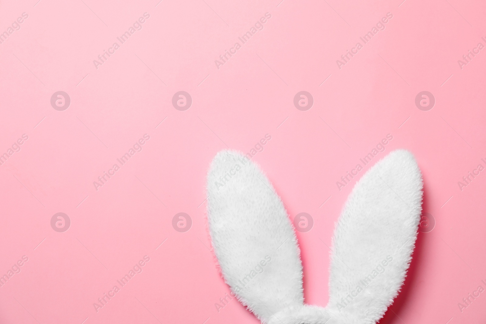 Photo of Funny Easter bunny ears on color background, top view with space for text