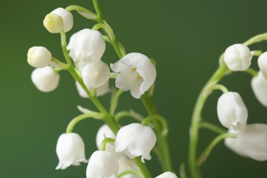 Beautiful lily of the valley flowers on blurred green background, closeup