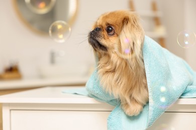 Photo of Cute Pekingese dog with towel and bubbles in bathroom. Pet hygiene