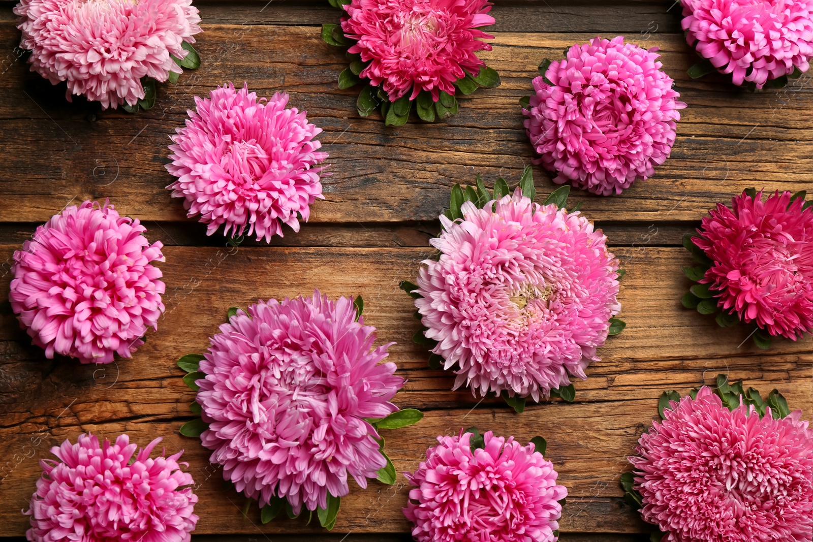 Photo of Beautiful asters on wooden background, flat lay. Autumn flowers