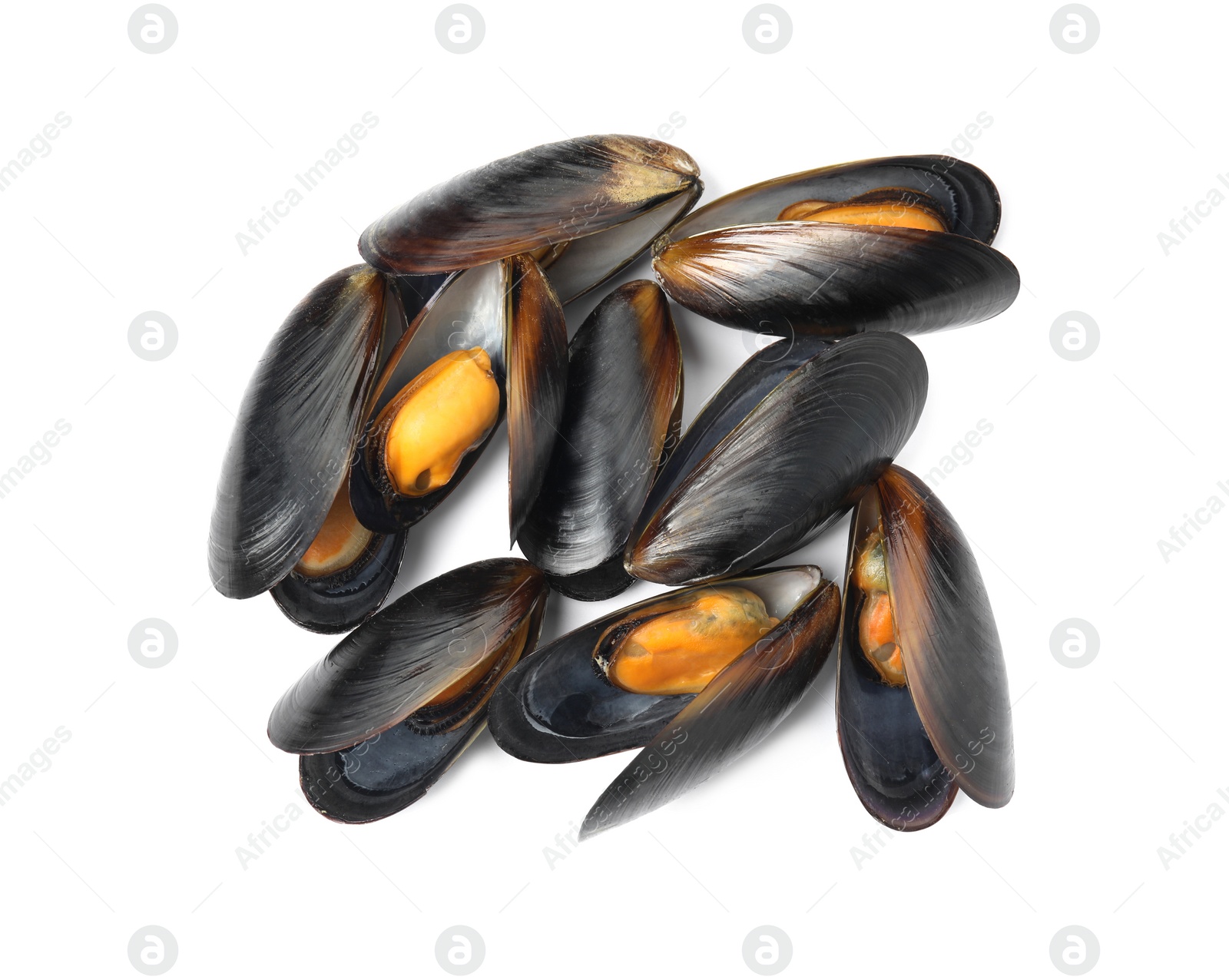 Photo of Delicious cooked mussels in shells on white background, top view