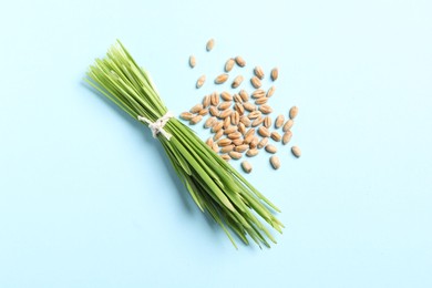Photo of Sprouts of wheat grass and seeds on light blue background, flat lay