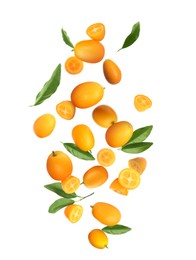 Delicious fresh kumquats and green leaves falling on white background