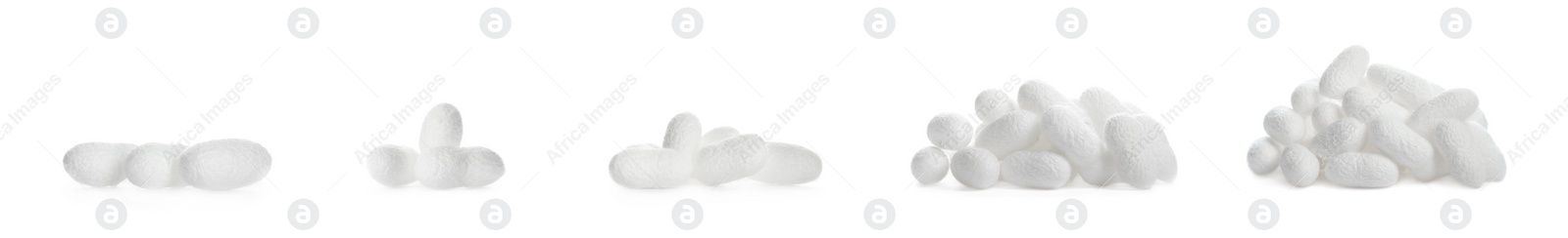 Image of Set with natural silkworm cocoons on white background. Banner design