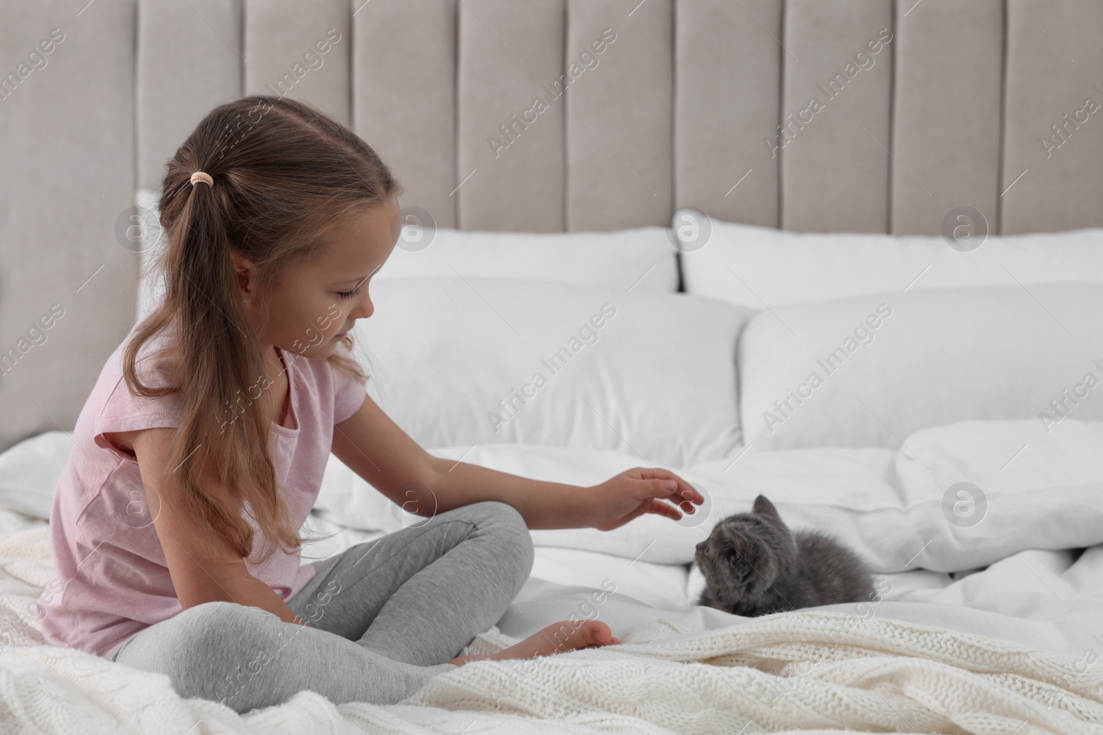 Photo of Cute little girl with kitten on bed. Childhood pet