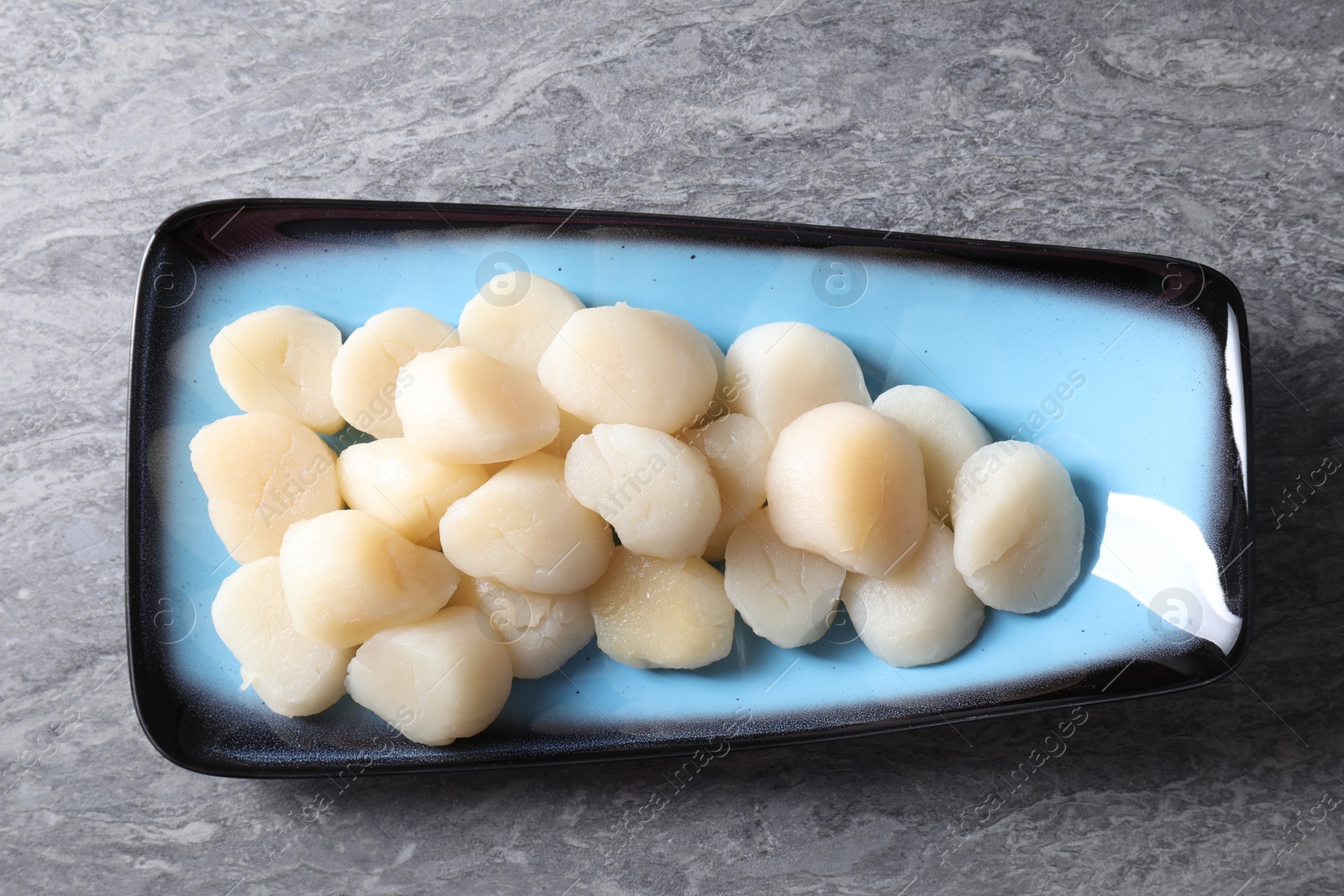 Photo of Fresh raw scallops on grey table, top view