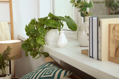 Photo of Beautiful house plants and books on windowsill indoors. Home design idea