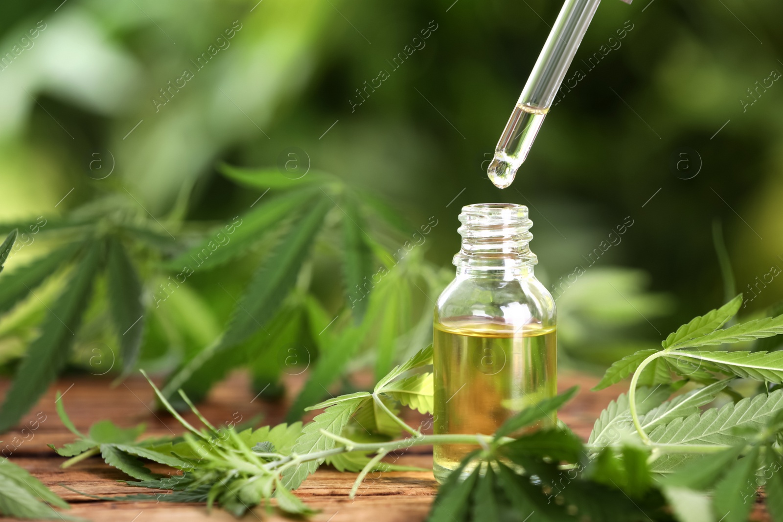 Photo of Dripping THC tincture or CBD oil into bottle on wooden table with hemp leaves. Space for text
