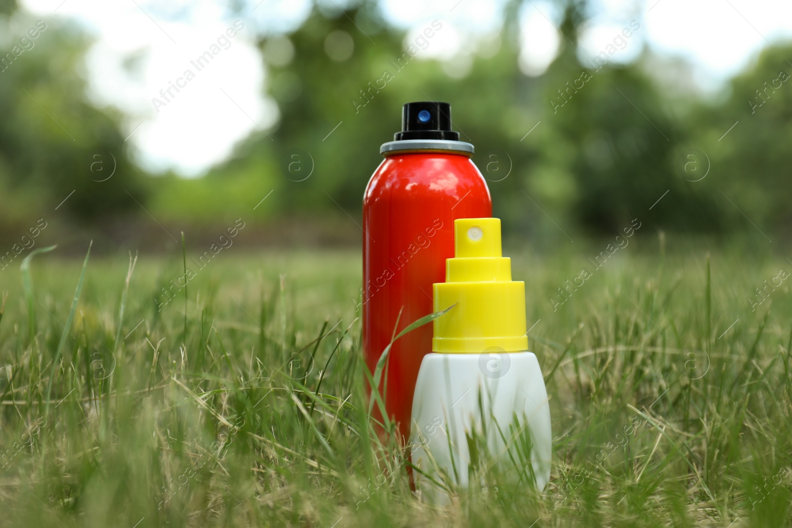 Photo of Bottles of insect repellent on green grass