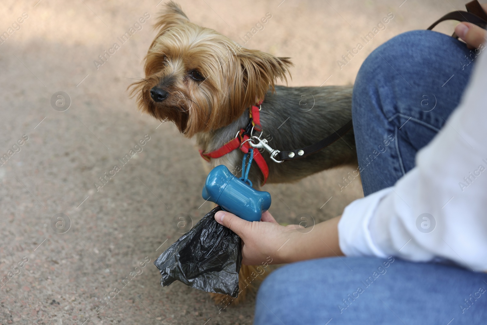 Photo of Woman with cute dog taking waste bag from holder outdoors, closeup