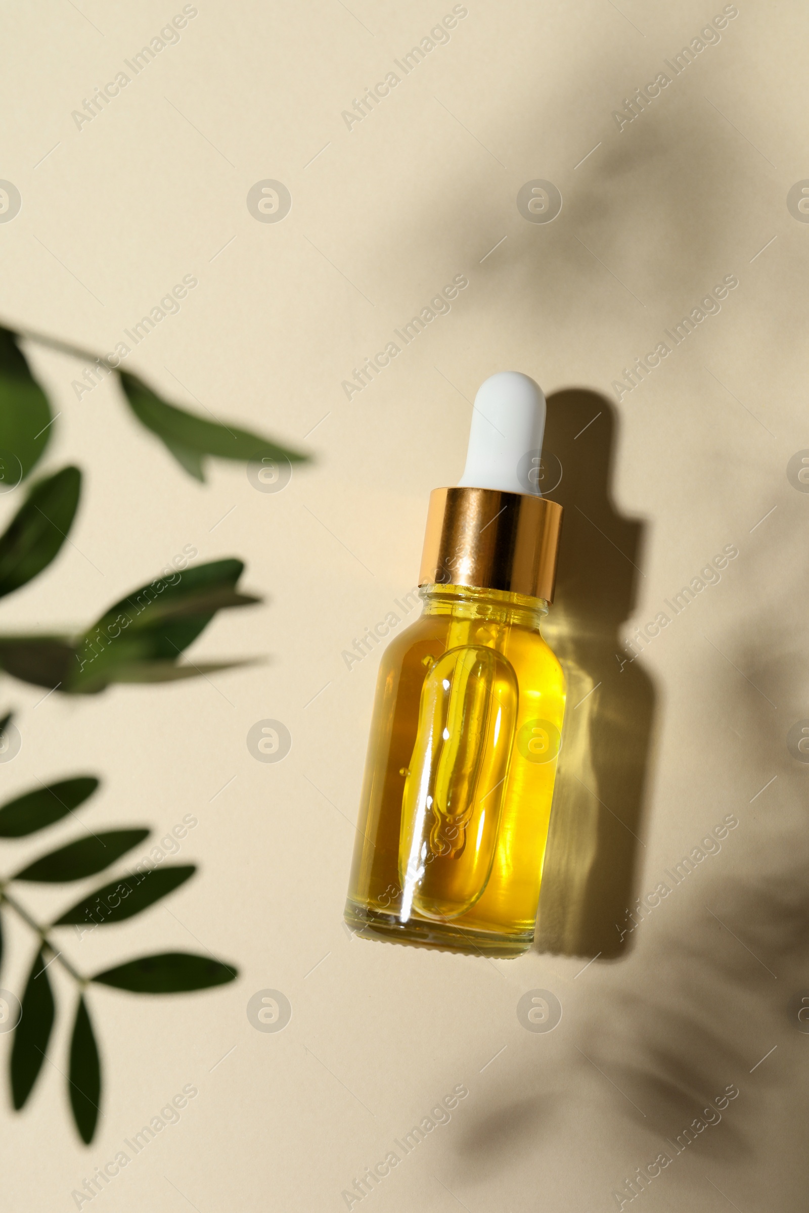 Photo of Bottle of cosmetic oil and leaves on beige background, top view