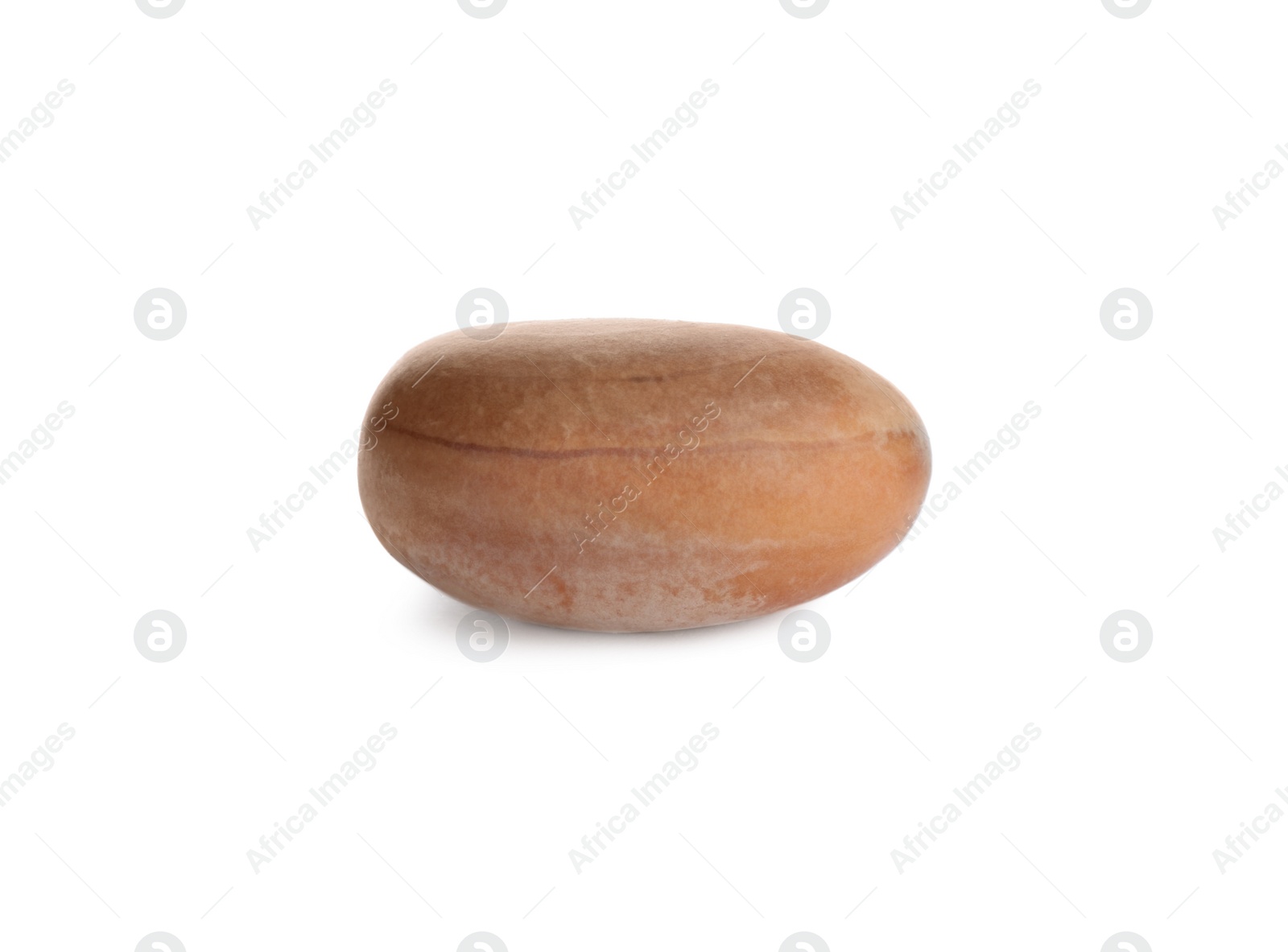 Photo of Fresh raw jackfruit seed isolated on white