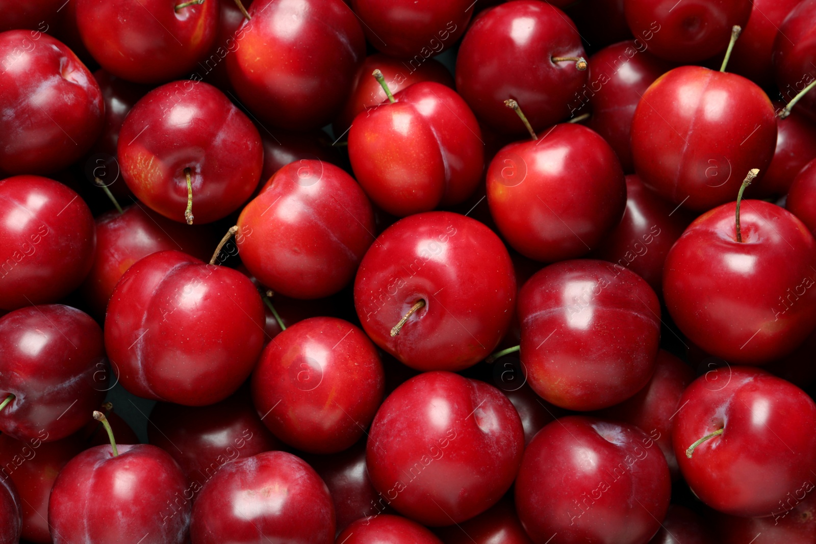 Photo of Fresh ripe cherry plums as background, closeup