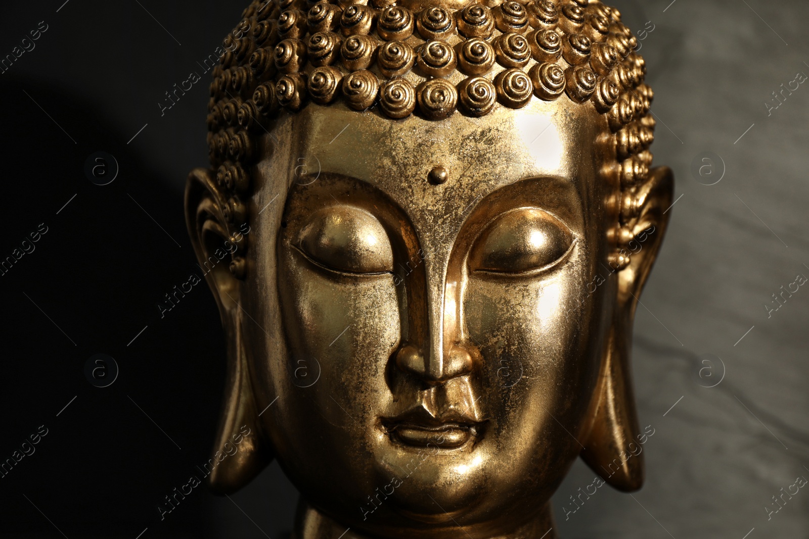 Photo of Buddha statue on dark background, closeup view