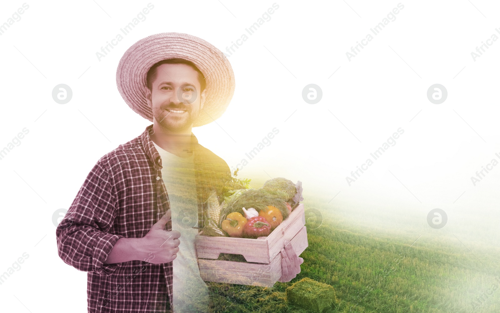 Image of Double exposure of farmer and agricultural field on white background