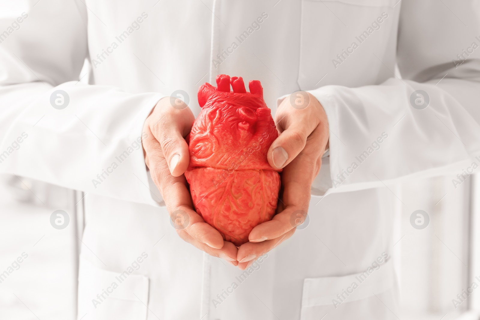 Photo of Doctor holding model of heart, closeup. Heart attack concept