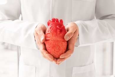 Photo of Doctor holding model of heart, closeup. Heart attack concept