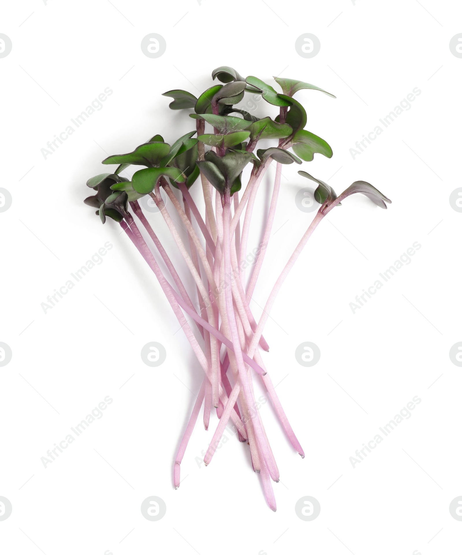 Photo of Heap of fresh organic microgreen on white background, top view