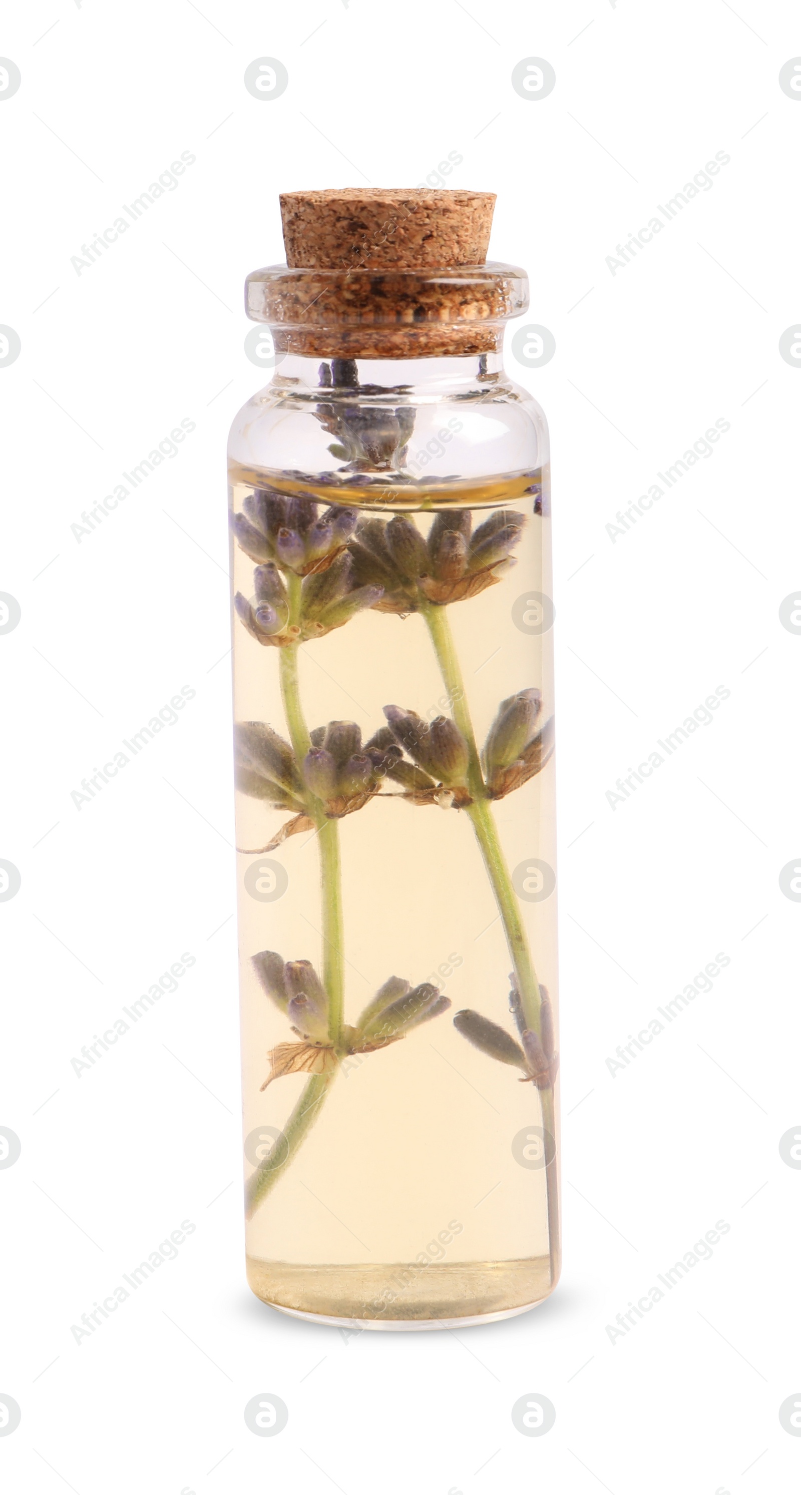 Photo of Bottle of lavender essential oil isolated on white