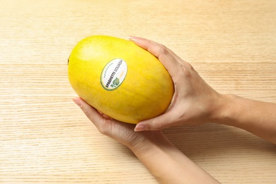 Woman holding ripe spaghetti squash on wooden table, top view