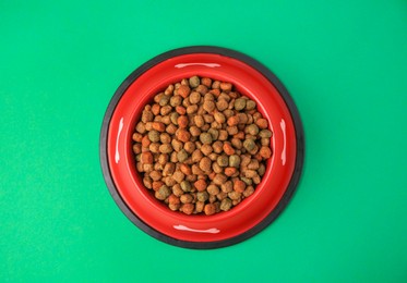 Photo of Dry dog food in feeding bowl on green background, top view