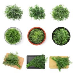 Image of Set of fresh dill isolated on white, top view